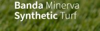 Banda Minerva synthetic turf image 5